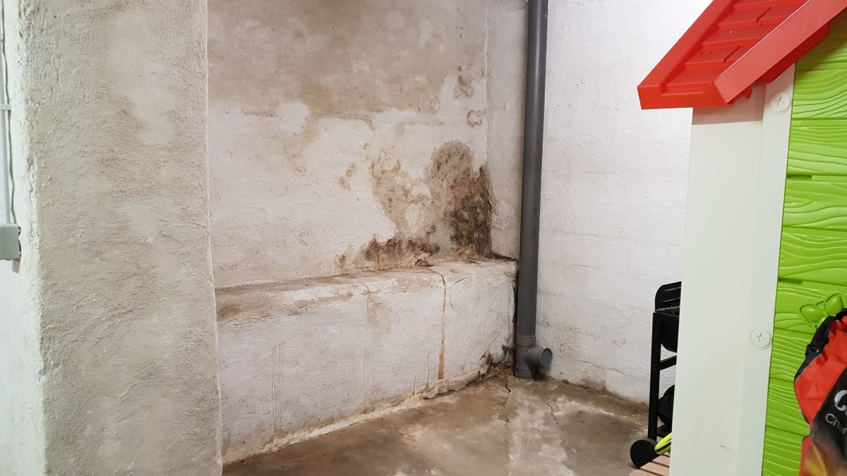 Infiltrations d'eau - Expertise humidité à Annonay